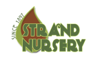 Strand Nursery