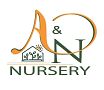 A & N Nursery