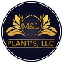 M&L PLANTS LLC