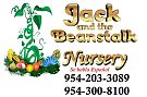 Jack and Beanstalk Nursery