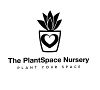 The Plantspace Nursery