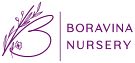 Boravina Nursery