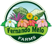 Fernando Melo Farms LLC