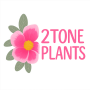 2TONE PLANTS