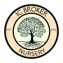 IC Broker Nursery