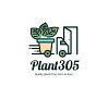 Plant 305