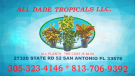 All Dade Tropical LLC