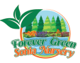 FOREVER GREEN SONIA NURSERY LLC