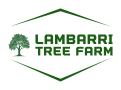 Lambarri Tree Farm