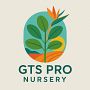GTS PRO Nursery