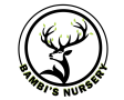 Bambi's Nursery Inc.