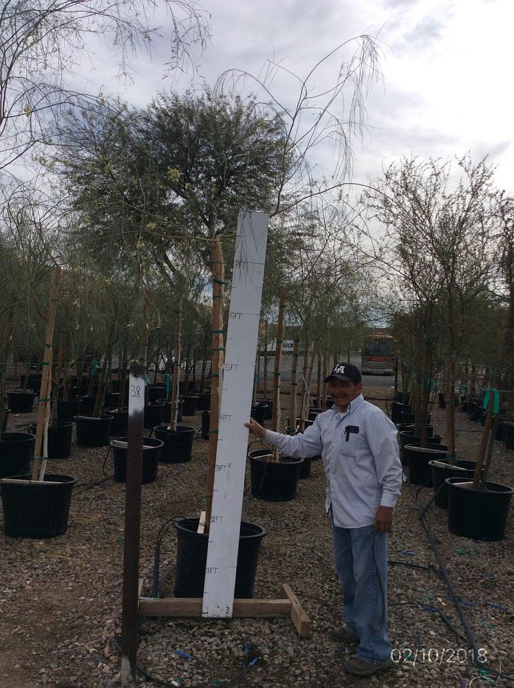 Arizona WholeSale Growers