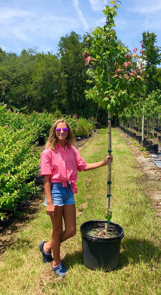 Flowing Well Tree Farm, LLC