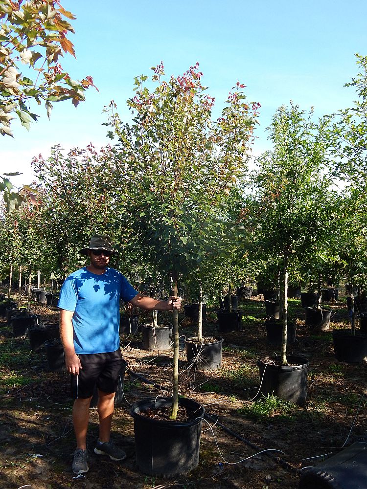 Evergreen Nursery