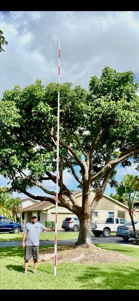 bursera-simaruba-gumbo-limbo