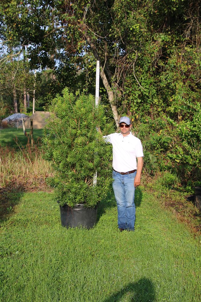 Gallery – Southern Growers Nursery