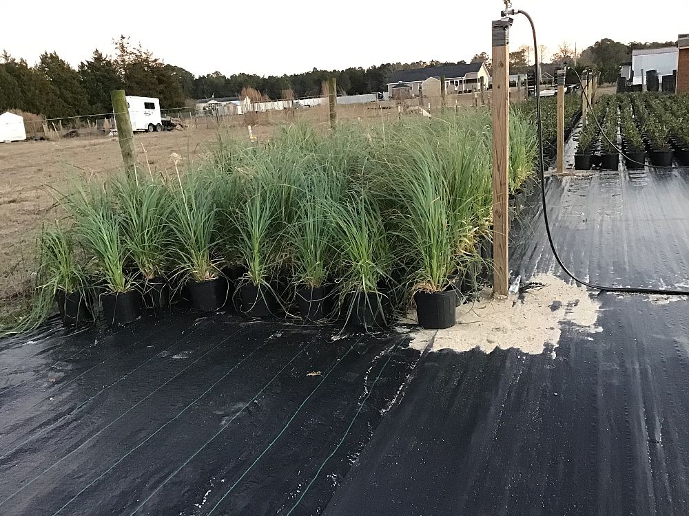 Evergreen Nursery LLC