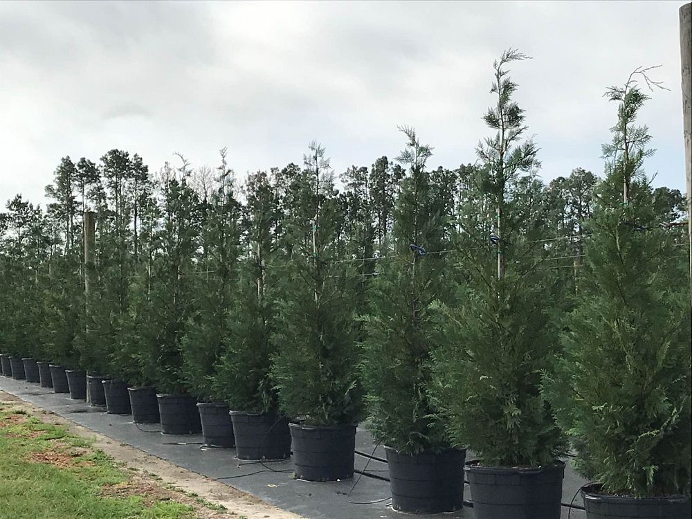 Sumter Gardens Tree Nursery