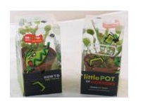 dionaea-muscipula-venuss-flytrap