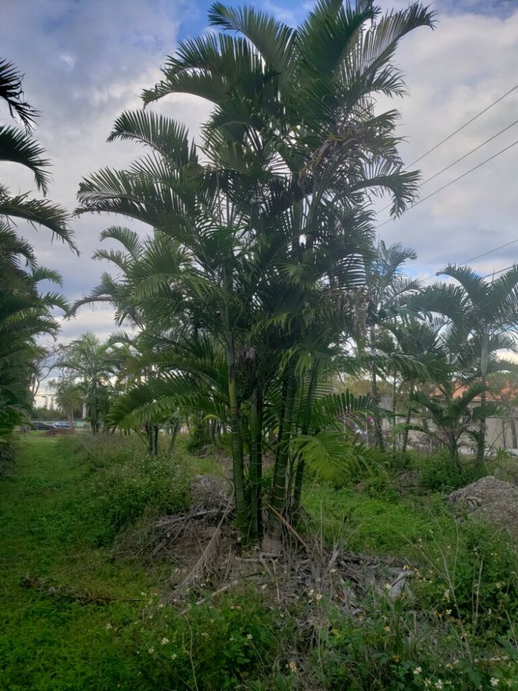 Florida Wholesale Materials