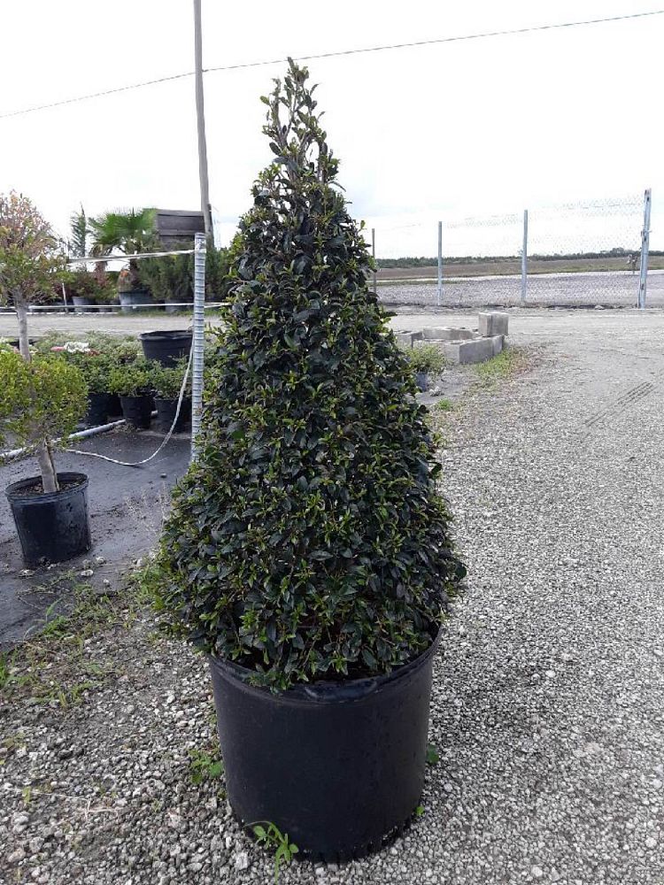 Eureka Farms LLC | plantANT.com