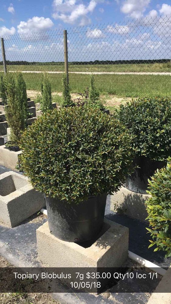 Eureka Farms LLC  plantANT.com