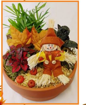 fairy-gardens