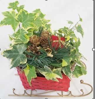 fairy-gardens