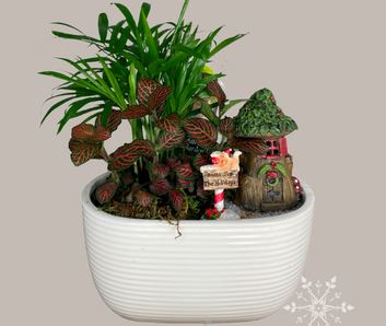 fairy-gardens
