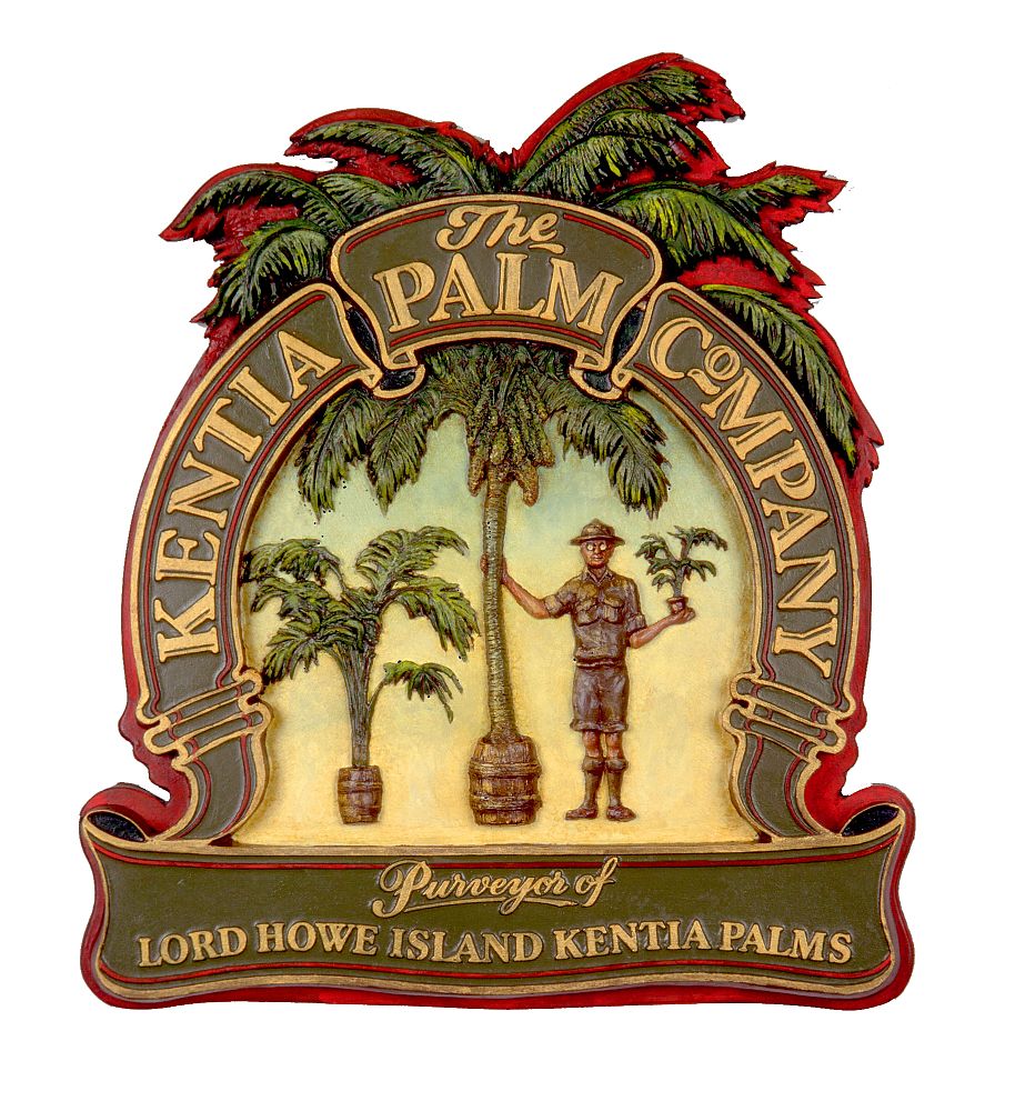 howea-forsteriana-kentia-palm