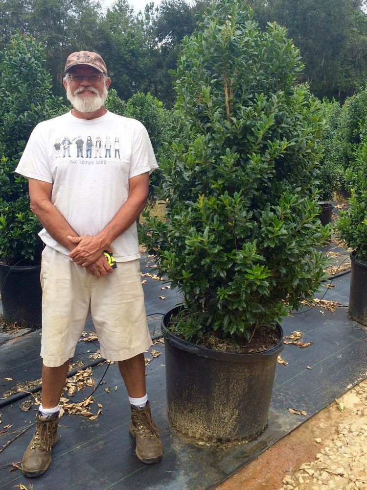 Monticello Nurseries