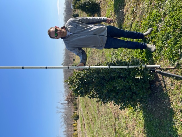 ilex-hybrid-magland-oakland-reg-holly