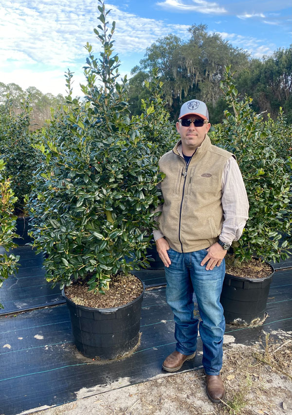 ilex-nellie-r-stevens-holly