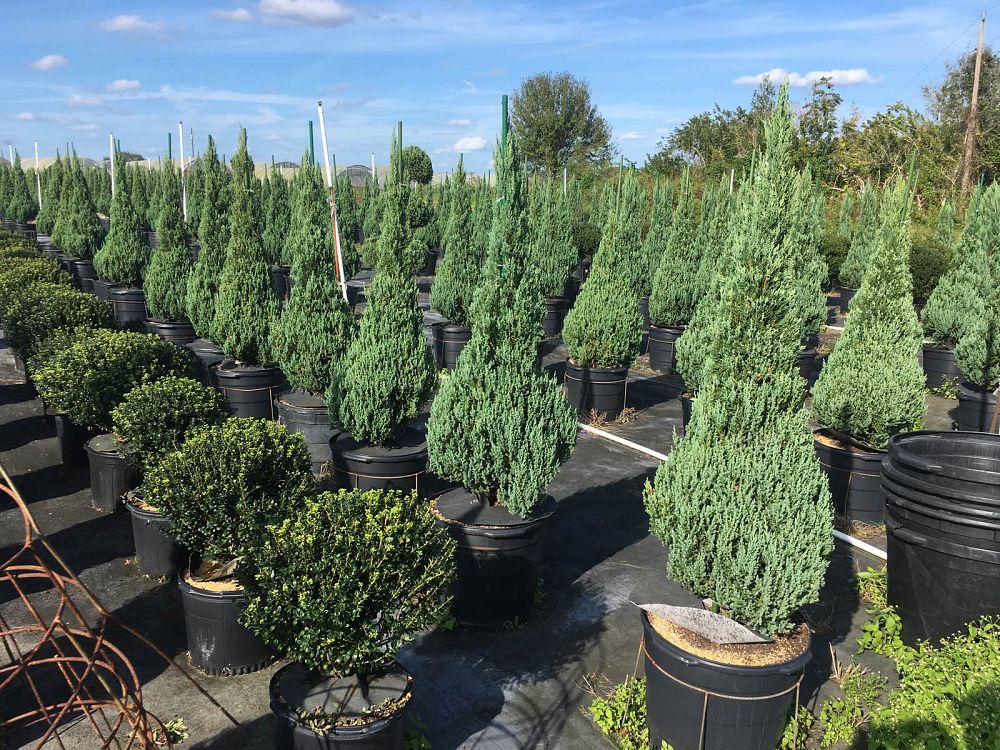 Gamble Creek Growers, Inc