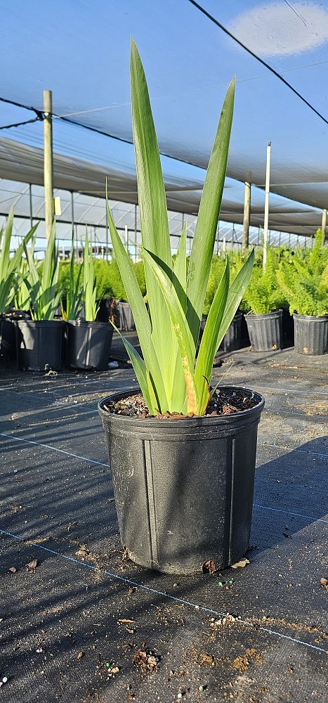 Plant Life Farms LLC | plantANT.com