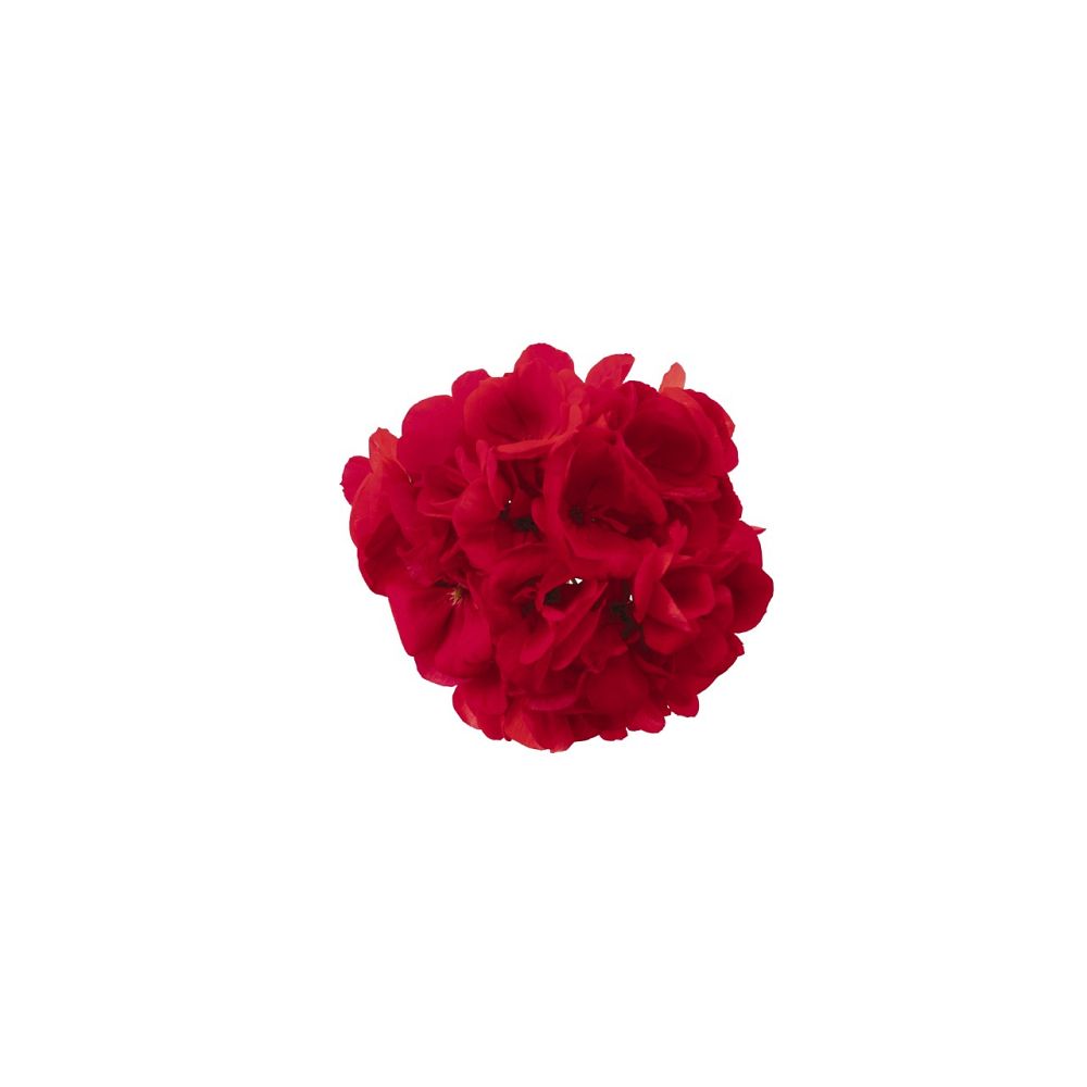 pelargonium-hortorum-big-ezee-neon-geranium