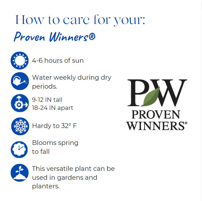 proven-winners-annuals-assorted