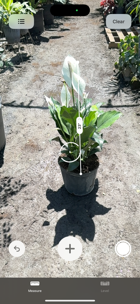 spathiphyllum-peace-lily