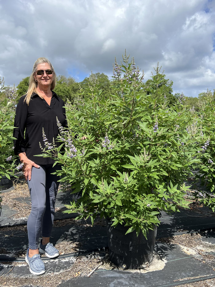 vitex-agnus-castus-shoal-creek-chaste-tree