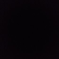 Rattlesnake Calathea Rattlesnake Calathea