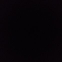 Pinstripe Calathea Pinstripe Calathea