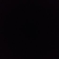 Spider Plant Spider Plant