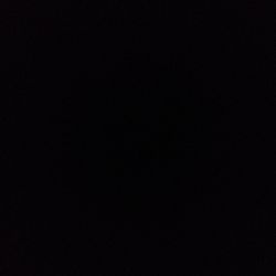 Clusia rosea Clusia rosea