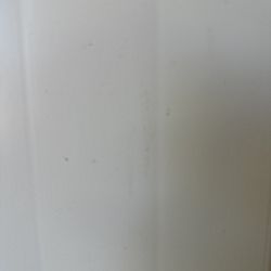 Dracaena Fragrans 'Lisa' Dracaena Fragrans 'Lisa'