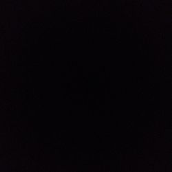 Massangeana Corn Plant Massangeana Corn Plant