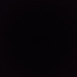 Marble Queen Pothos Marble Queen Pothos