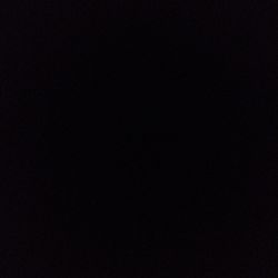 Fiddle Leaf Fig Fiddle Leaf Fig