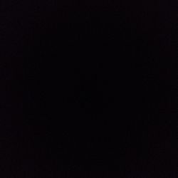 Monstera deliciosa Monstera deliciosa