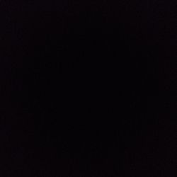 Monstera deliciosa Monstera deliciosa