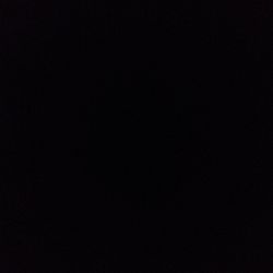 Monstera deliciosa Monstera deliciosa